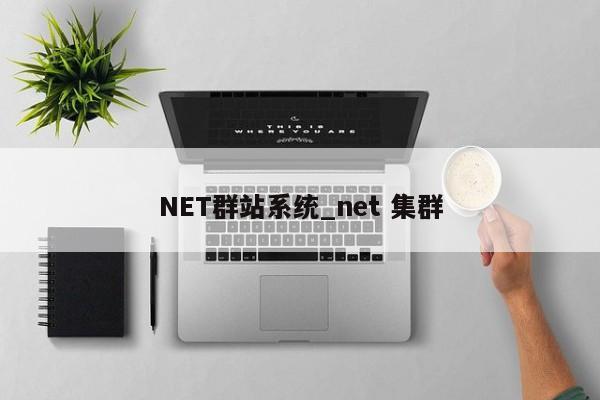 NET群站系统_net 集群